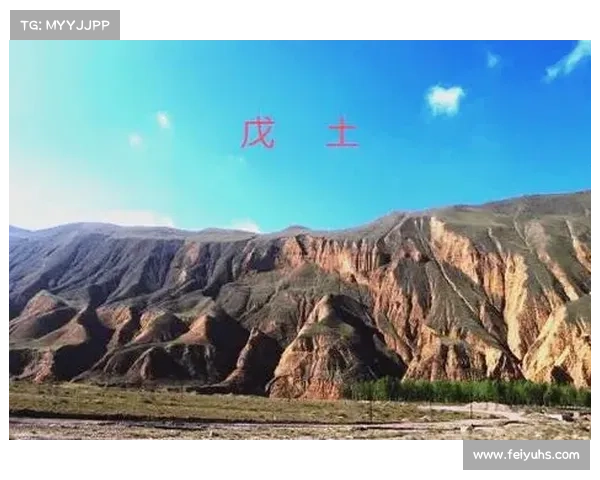强效位面精华的神秘世界与未知力量的深层探讨与应用解析 强效位面精华的神秘世界与未知力量的深层探讨与应用解析