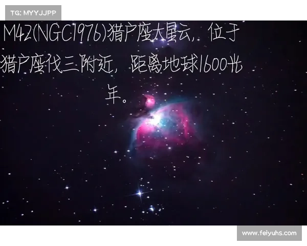 觉醒之力揭秘探索神秘力量的奥秘与无限可能 觉醒之力揭秘探索神秘力量的奥秘与无限可能