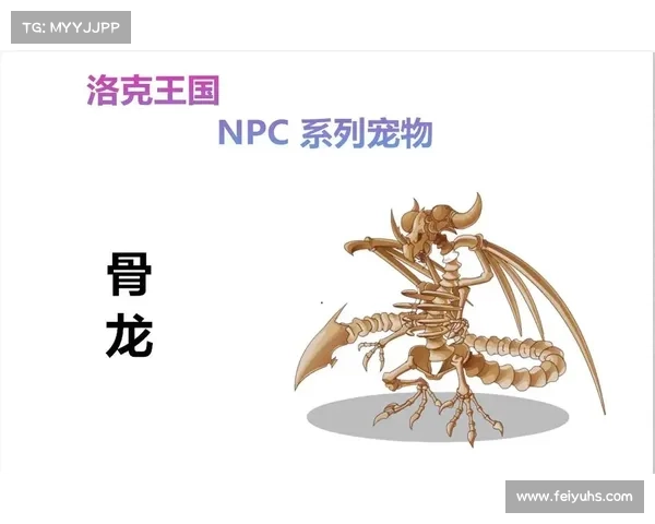 提升暗影骨龙努力值的五个关键步骤让其战斗力更强大 提升暗影骨龙努力值的五个关键步骤让其战斗力更强大